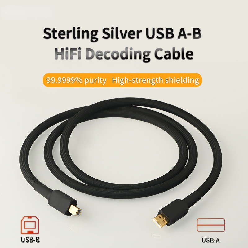 Audio 6N Pure Silver USB A-B Digital Cable