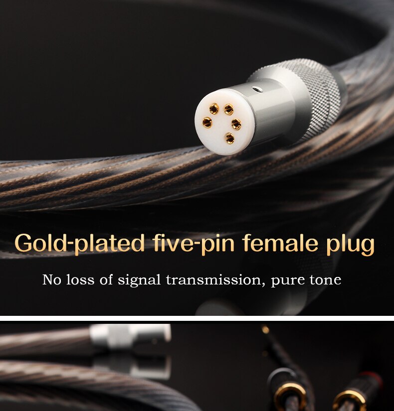 Xangsane-1M15M2M3m-LP-vinyl-record-five-core-female-plug-to-tworca-tonearm-signal-cable-phonograph-dedicated-hifi-rca-cable-3256801788656046