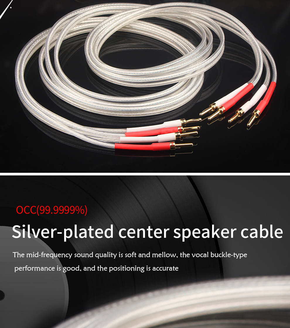 Xangsane-SP-8525-OCC-Silver-plated-Hifi-Speaker-Cable-High-Performance-Speaker-Amplifier-sound-Connecting-line-2251832833017551